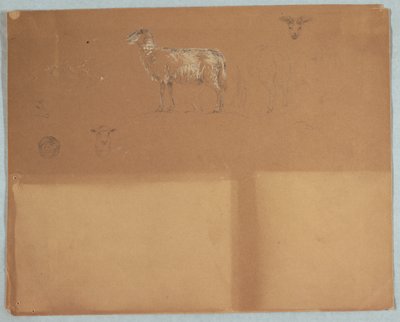 Studie ovcí, Ekvádoru nebo Kolumbie od Frederic Edwin Church