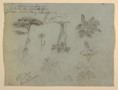 Stromové studie z Rio Magdalena v Kolumbii od Frederic Edwin Church
