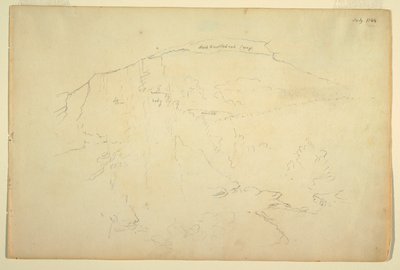 Zalesněný svah, Catskill Mountains od Frederic Edwin Church