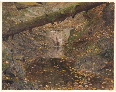 Woodland Stream, možná Mt. Desert, Maine od Frederic Edwin Church