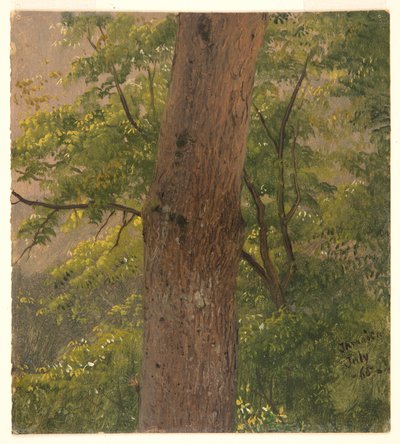 Woodland Study, Jamajka od Frederic Edwin Church
