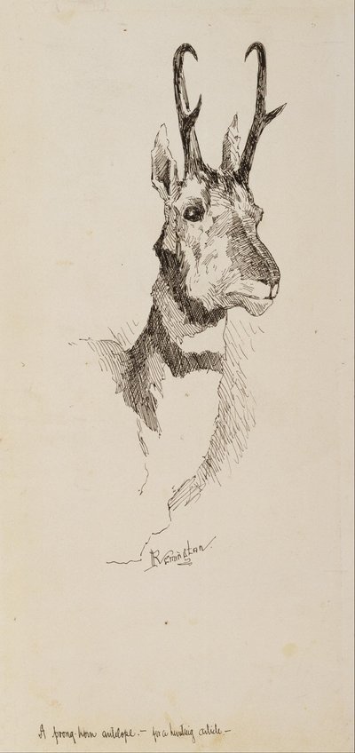Antilopa pratur od Frederic Remington