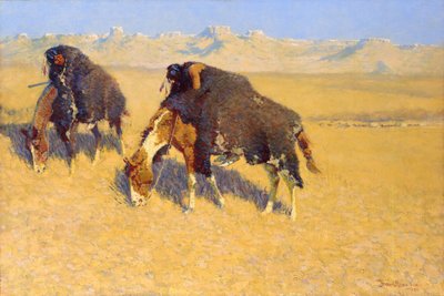 Indiáni simulující bizona od Frederic Remington