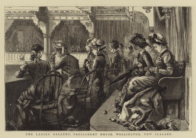 Dámská galerie, budova parlamentu, Wellington, Nový Zéland od Frederic Villiers