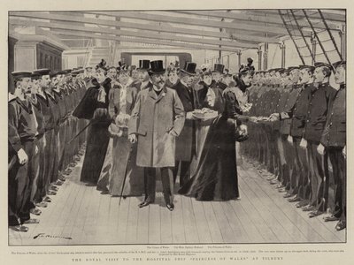 Královská návštěva nemocniční lodi Princess of Wales v Tilbury od Frederic de Haenen
