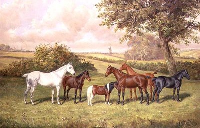 Skupina poníků od Frederick Albert Clark