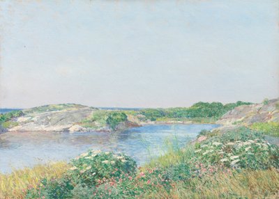 Malý rybník, Appledore, 1890. od Frederick Childe Hassam