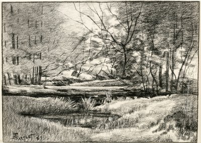 Bazén v Adirondacks od Frederick Eugene Bartlett
