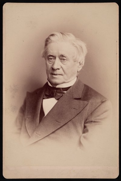 Portrét Josepha Henryho 1797-1878, 1876. od Frederick Gutekunst