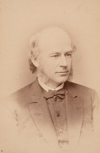 Portrét Williama Cassadyho Cattella 1827-1898, 1876. od Frederick Gutekunst