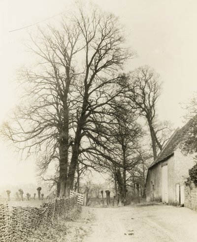 Kelmscott Manor: Cesta a vchod od Frederick H. Evans