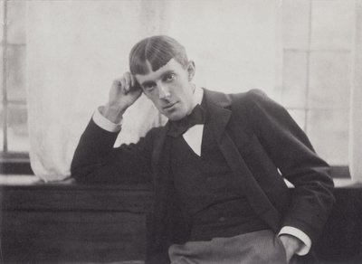 Portrétní fotografie Aubrey Beardsley (1872-98) od Fredericka Evanse (1853-1943) od Frederick Henry Evans