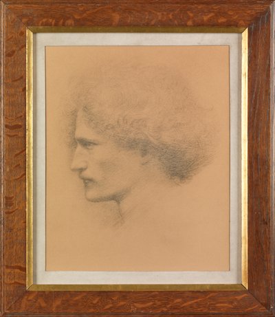 Ignacy Jan Paderewski (platinotypie) od Frederick Hollyer