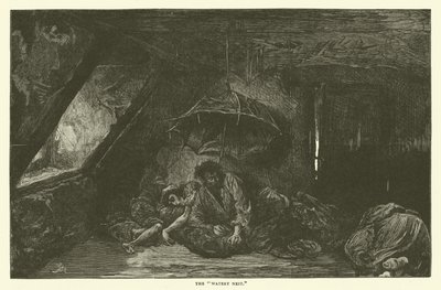 Vodnaté hnízdo od Frederick L. Bernard