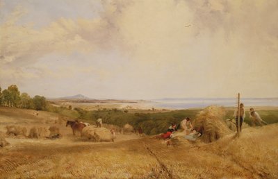 Harvest Field, 1846 od Frederick Richard Lee