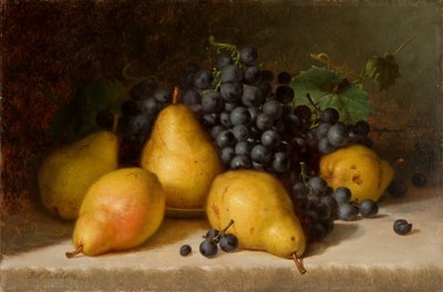Hrozny a hrušky 1877 (olej na desce) od Frederick S. Batcheller
