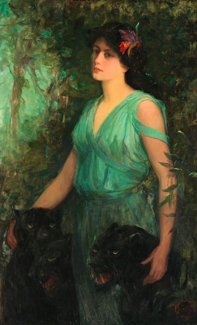 Černá orchidej, 1907. od Frederick Stuart Church