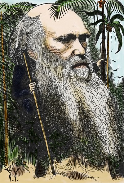 Charles DARWIN (1809-1882) karikatura F. Waddyho v „“ in Once A Week“ z roku 1873. od Frederick Waddy