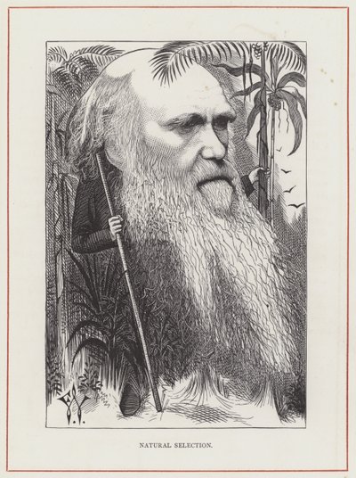 Charles Darwin, Přírodní výběr od Frederick Waddy