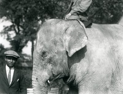 Barmský slon se svým trenérem a dalším mužem, londýnská zoo, září 1926 od Frederick William Bond