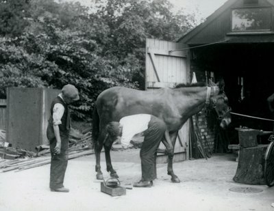 V roce 1924 byl v londýnské zoo oděn mezek od Frederick William Bond