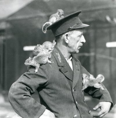 Ošetřovatel druhé třídy se čtyřmi mladými veverkami šedými šplhajícími na jeho uniformě klobouk a bundu, londýnská zoo od Frederick William Bond