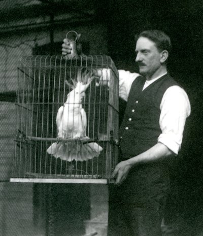 Chovatel drží kakadua sírového chocholatého, Jade, ve své kleci v londýnské zoo v říjnu 1924 od Frederick William Bond