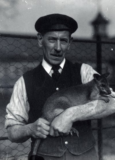 Ošetřovatel drží valašku, říjen 1920 (čb foto) od Frederick William Bond