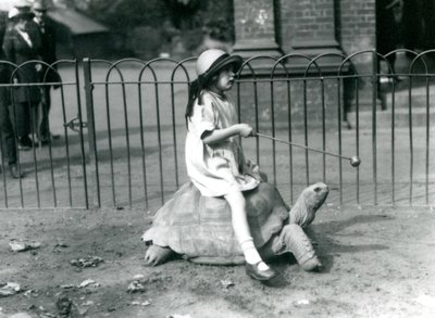Malá dívka, Betty, drží hůl s jablkem na konci, aby vedla obří želvu, na které jede, Londýnská zoo, 1924 od Frederick William Bond