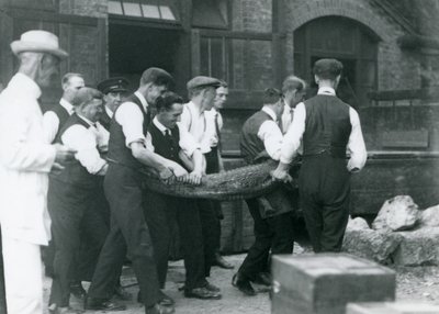 Tým mužů nese aligátora, na kterého dohlíží Sir Peter Chalmers Mitchell, Londýnská zoo, 1924 od Frederick William Bond