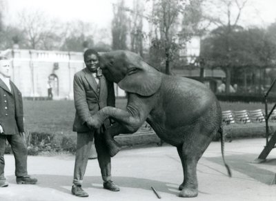 Mladá slon africký stojí na zadních nohách, aby objal svého afrického trenéra, zatímco ošetřovatel se dívá, Londýnská zoo, červenec 1925 od Frederick William Bond