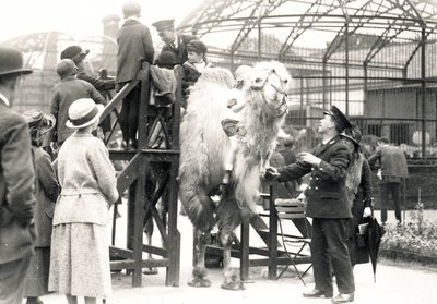 Jízda na velbloudu s chovatelem H. Warwickem od Frederick William Bond