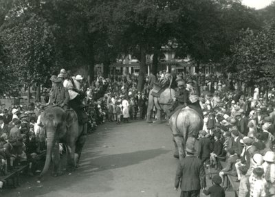 Vyjížďky na slonech se třemi asijskými slony sledovanými davy přihlížejících v londýnské zoo v srpnu 1926 (černobílá fotografie) od Frederick William Bond