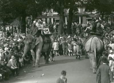 Vyjížďky na slonech se dvěma asijskými slony sledovanými davy přihlížejících v londýnské zoo v srpnu 1926 (černobílá fotografie) od Frederick William Bond