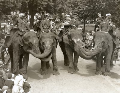 Jízda na slonech v londýnské zoo, červenec 1936 od Frederick William Bond