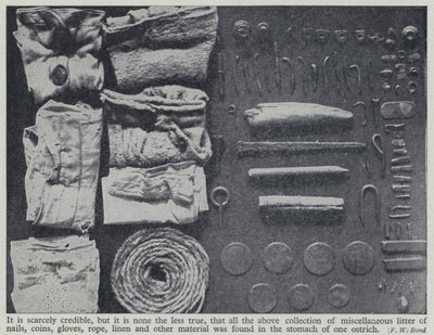 Předměty nalezené v žaludku pštrosa (černobílá fotografie) od Frederick William Bond