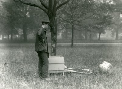 Keeper Brown stěhuje roj včel, Londýnská zoo, červenec 1926 od Frederick William Bond