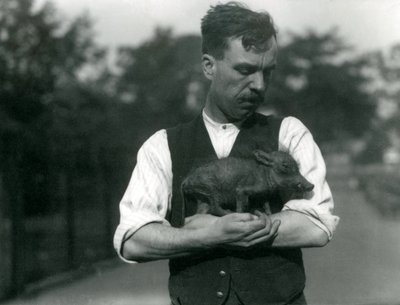 Chovatel Harry Warwick drží v náručí mládě prase bradavičnatého v londýnské zoo, srpen 1922 od Frederick William Bond