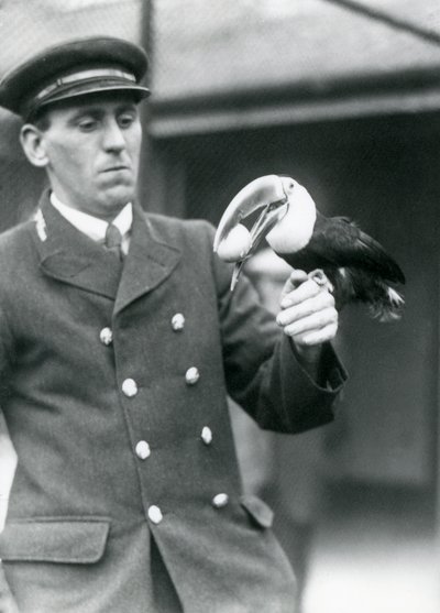 Chovatel, Thomas Raggett, držící tukana rudozobého s vejcem v tlamě v londýnské zoo v roce 1924 od Frederick William Bond