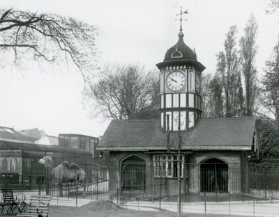 Velbloudí dům. Londýnská zoologická zahrada od Frederick William Bond