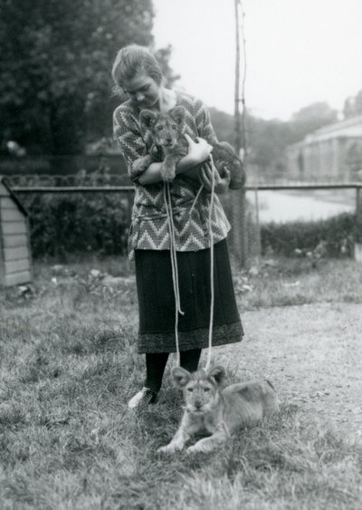 Dvě lvíčata s mladou ženou v londýnské zoo v srpnu 1925 od Frederick William Bond