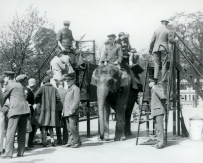 Návštěvníci čekají ve frontě na projížďku na slonech, zatímco ostatní nastupují za pomoci pěti ošetřovatelů, Londýnská zoo, 1927. od Frederick William Bond