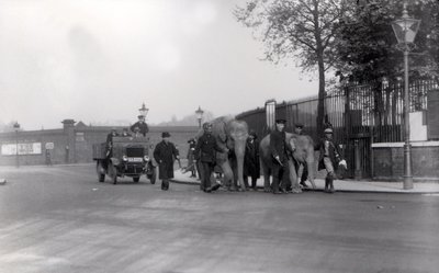 Procházka s párem slonů z doků v roce 1923 do ZSL London Zoo, kdy se to stalo naposledy od Frederick William Bond
