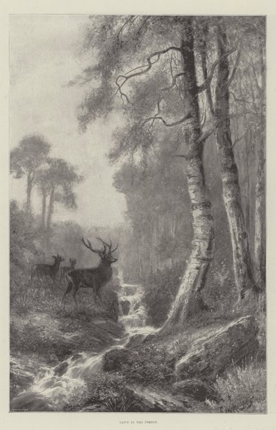 Svítání v lese od Frederick William Hayes