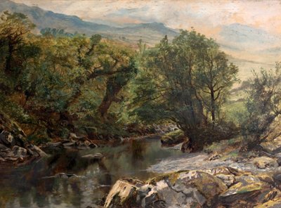 Bazén v Colwynu, Severní Wales od Frederick William Hayes