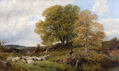 Lesní scéna od Frederick William Hulme