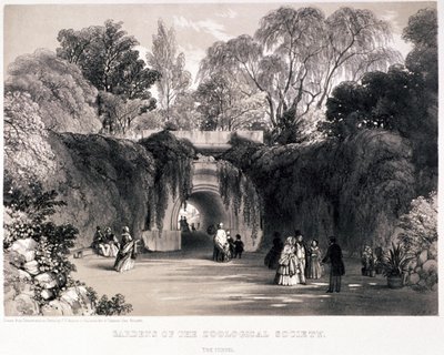 Zoologická zahrada, Regent