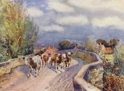 Marton Bridge od Frederick William Newton Whitehead