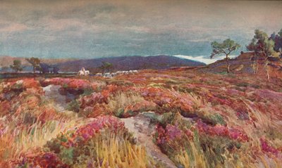 On The Heath Lytchett Minster, c1904 od Frederick William Newton Whitehead