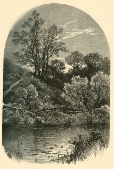 „Banks of the Housatonic, at Pittsfield“, 1874. od Frederick William Quartley